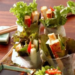 Fresh Springrolls