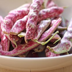 Borlotti Beans