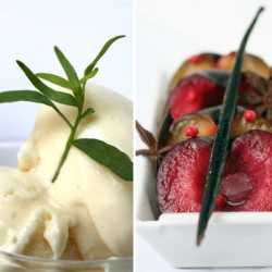Roasted Plum with Tarragon Ice Cream
