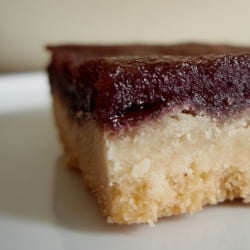 Blueberry Almond Bars