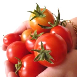 Tomatoes