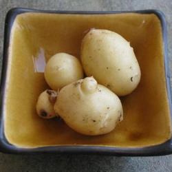 Baby Potatoes