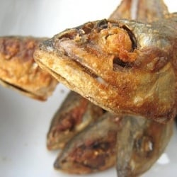 Fried Hasa Hasa