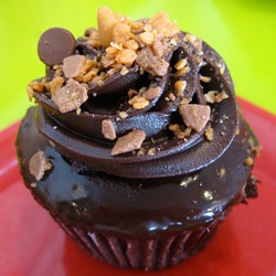 Chocolate Cupcake