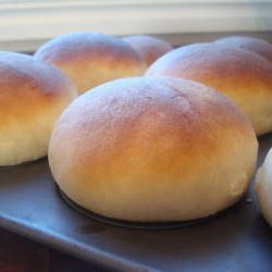 Dinner Rolls