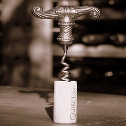 Wine Tasting Tips