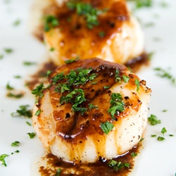 Pan Seared Scallops