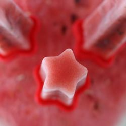 Watermelon Mint Ice Pops