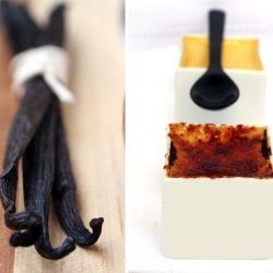 Creme Brulee