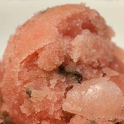 Watermelon Sorbetto