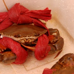 Hong Kong’s Wet Market