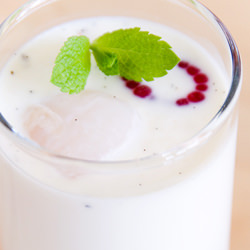 Lychee Panna Cotta