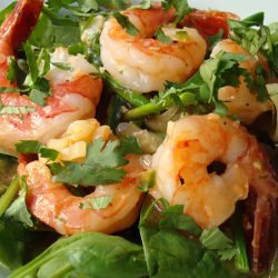 Shrimp and Asparagus Salad