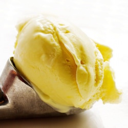 Durian Frozen Yogurt