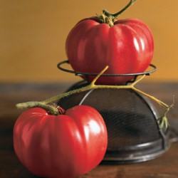 German Pink tomatoes
