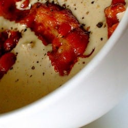 New England Culinary Delight