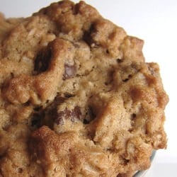 PB Oatmeal Chocolate Chipsters