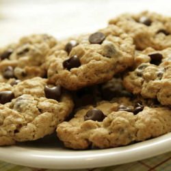 Peanut Butter Chocolate Chipsters