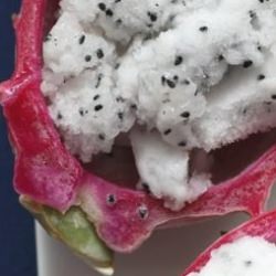 Dragonfruit Sorbet