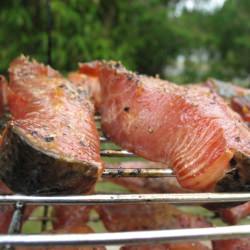 Savoring the Mighty Salmon