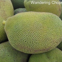 Jackfruit