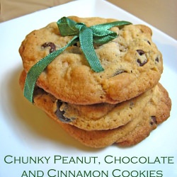 PB Chocolate and Cinnamon Cookies