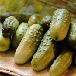Refrigerator Garlic Dill Pickles