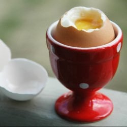 My Egg Cup