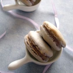 Blueberry Macarons