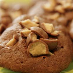 Chocolate Malted Whopper Drops