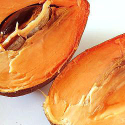 Mamey aka Sapote or Zapote