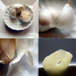 A Closer Look…at Garlic