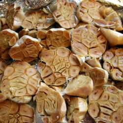 Roasted Garlic Rolls