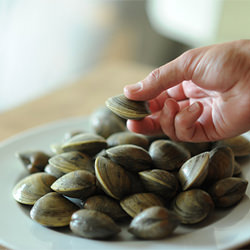 Briny