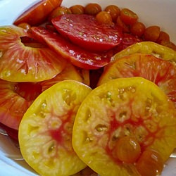 The Mothership Tomato Salad
