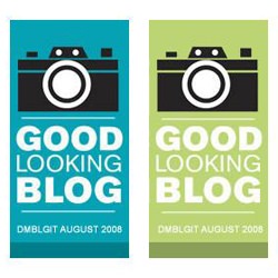 Does My Blog Look Good In This?