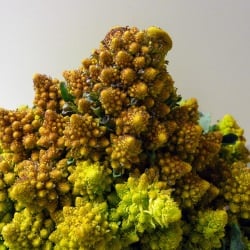 Broccoflower