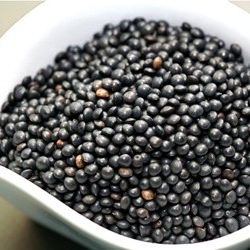 Black Beluga Lentils