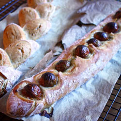 Cherry Tomato Baguette