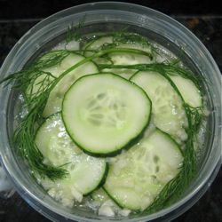 Freezer Pickles
