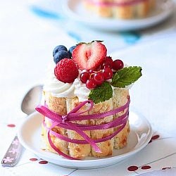 Toasted Coconut Raspberry Charlotte