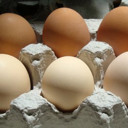 The Joys of Farm-Fresh Eggs