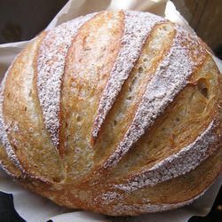 No-Knead Boule