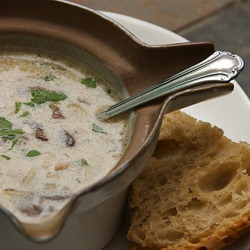 Cream of Wild Mushroon Soup