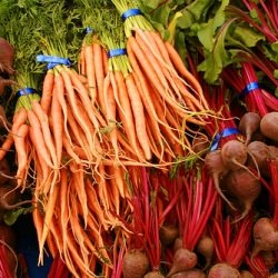 Sustainability on a Budget