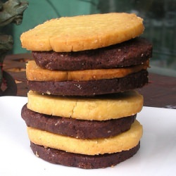 Vanilla & Chocolat Cookies