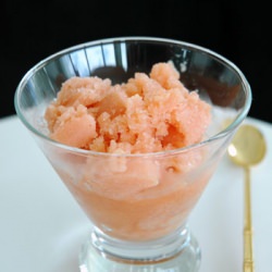 Blood Orange Sorbet