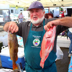 I Got Two Snappers For You