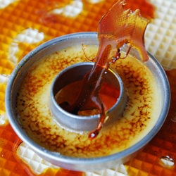 Creme Brulee