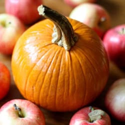 Apple Pumpkin Cake